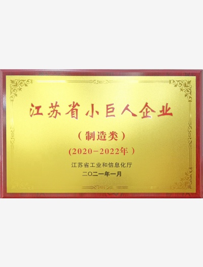 省小巨人獎牌