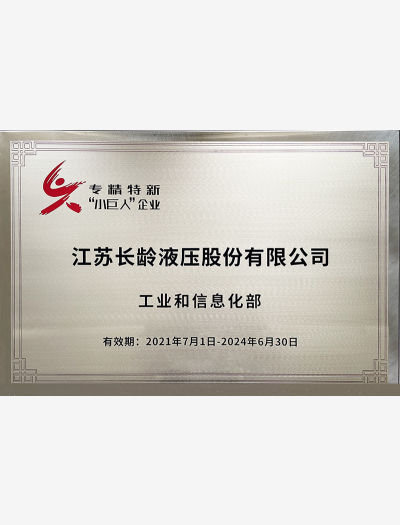專精特新“小巨人”企業